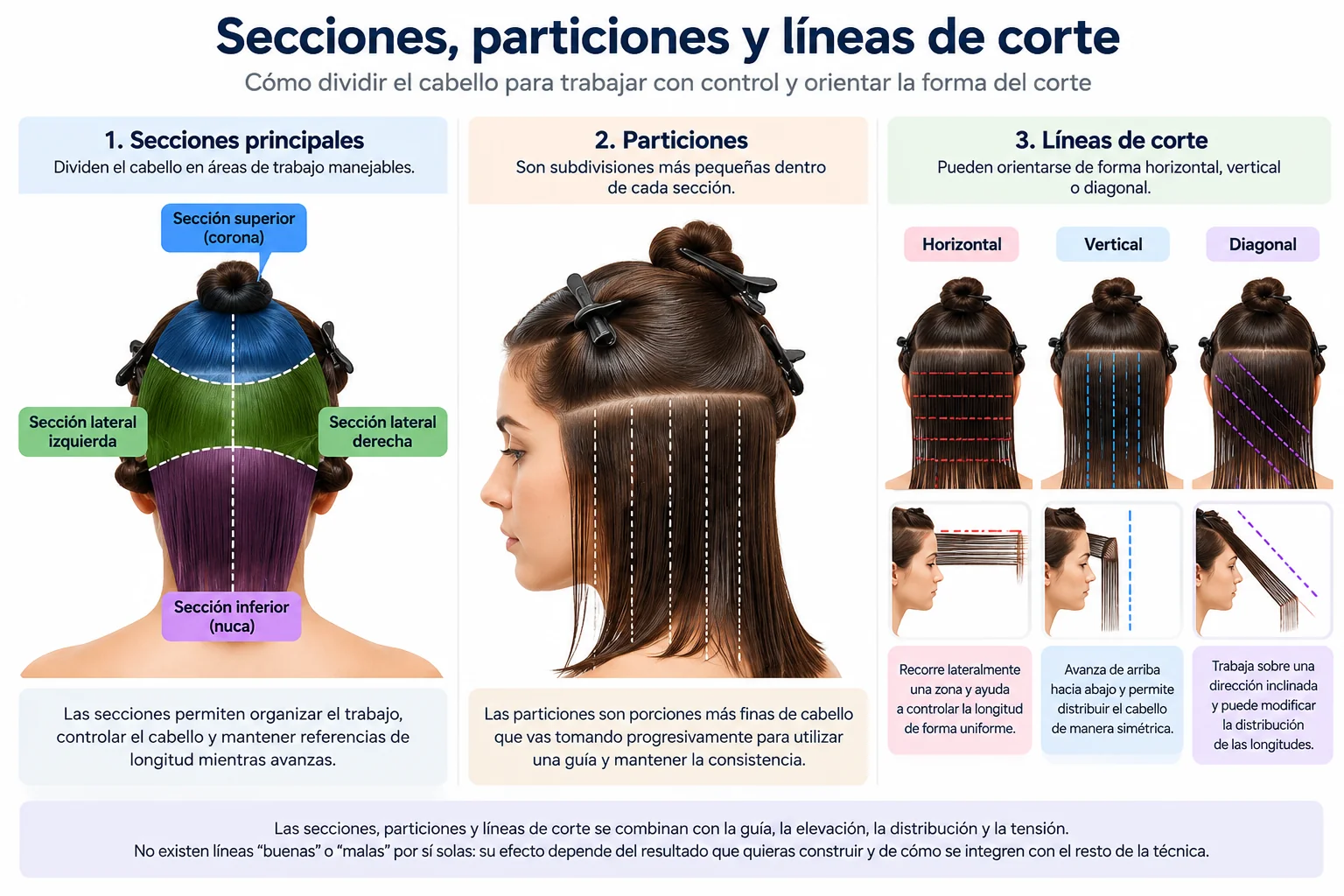 Secciones, particiones y líneas de corte en cabello femenino